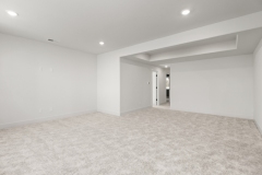 custom-home-open-concept-basement